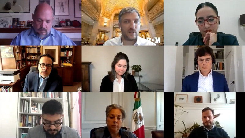 Screenshot of participants in Zoom meeting for launch of summit report.